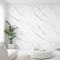 Интерьерный Лист СОЛИД из полимера ультравысокой плотности, коллекция Urban (2025) SoliD IL 2012 Мрамор Капри - Солид